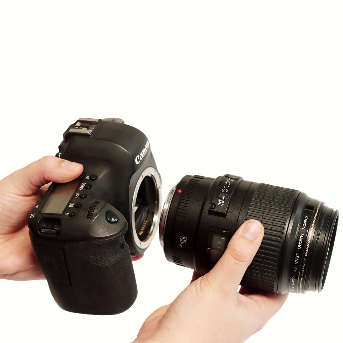 Comment régler son appareil photo pour photographier des bijoux ?