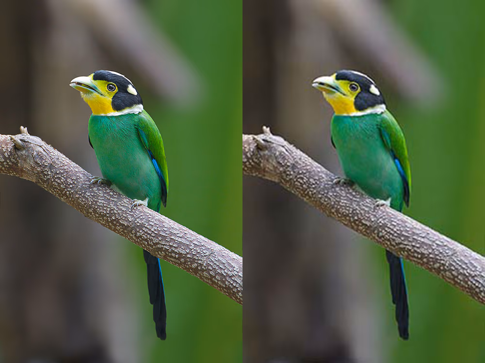 JPEG compression Example